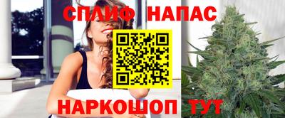 мдпв Гусев