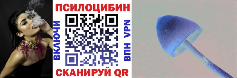 Псилоцибиновые грибы мицелий  Муравленко 