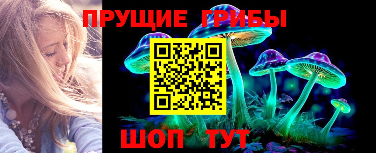 наркошоп  Псилоцибиновые грибы прущие грибы  Муравленко  Вход с VPN  Псилоцибиновые грибы мухоморы 